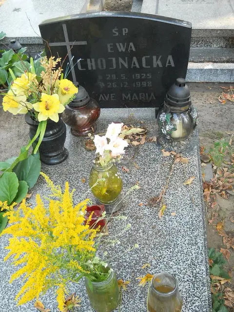 Zdjęcie grobu 15/26707