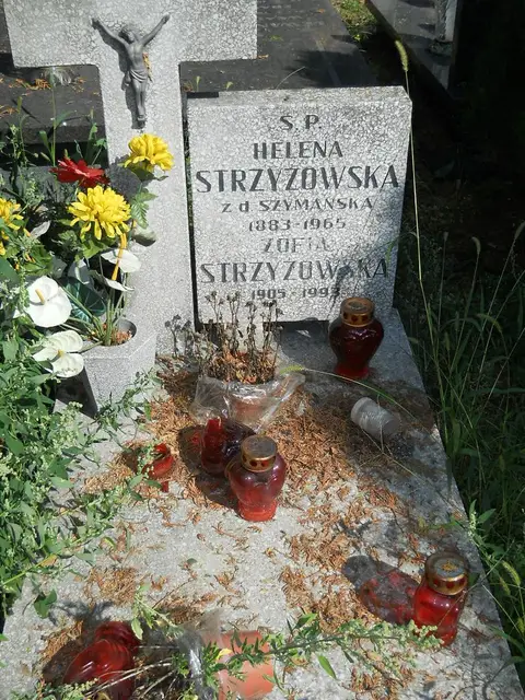 Zdjęcie grobu 18/28195