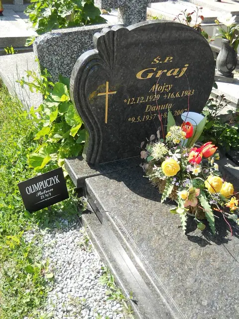 Zdjęcie grobu 7/2760/83