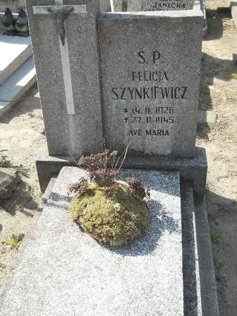 Zdjęcie grobu 24/100