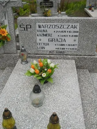 Zdjęcie grobu 38/183,184