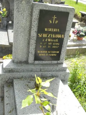 Zdjęcie grobu 27/100