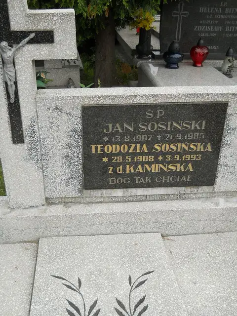 Zdjęcie grobu 27/23107