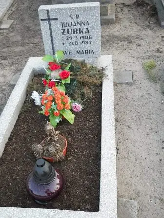 Zdjęcie grobu 4/100