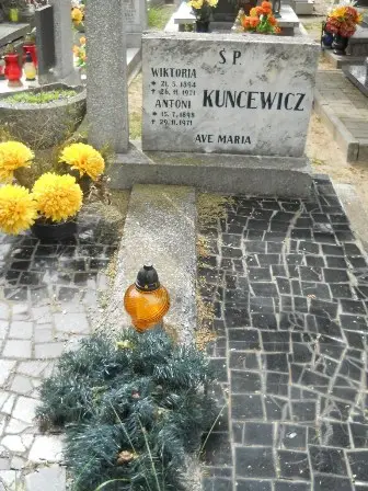 Zdjęcie grobu 20/100