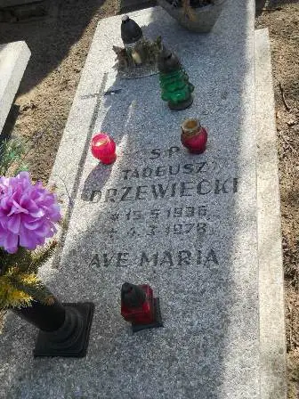Zdjęcie grobu 100/100