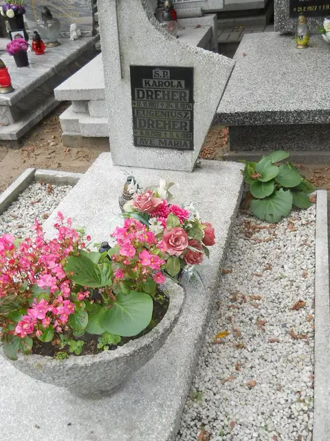 Zdjęcie grobu 13/29696