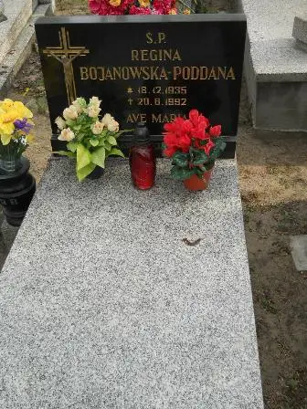 Zdjęcie grobu 9/100