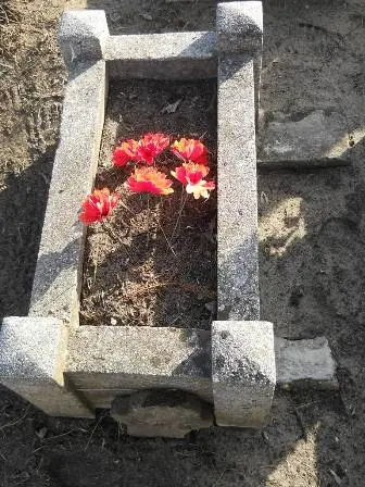 Zdjęcie grobu 100/100