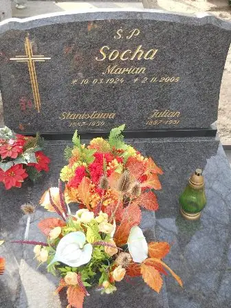 Zdjęcie grobu 15/100
