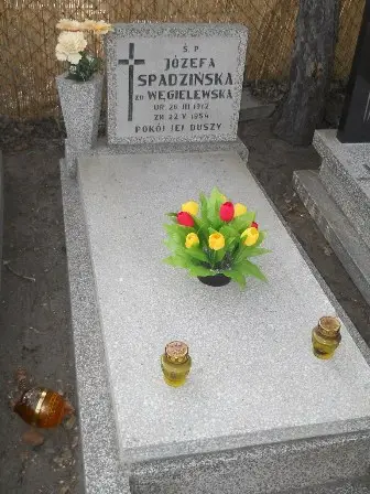 Zdjęcie grobu 100/100