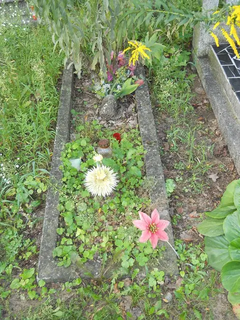 Zdjęcie grobu 14/27078