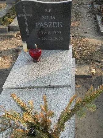 Zdjęcie grobu 4/183