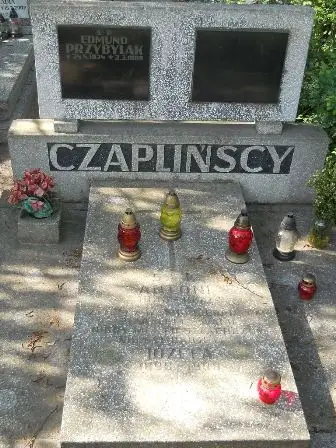Zdjęcie grobu 24/176,176a