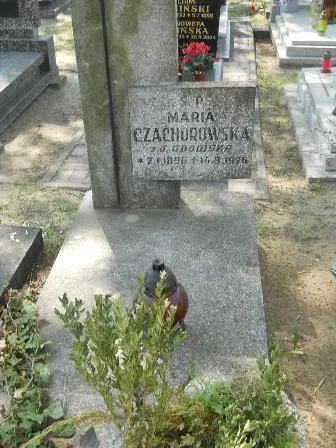 Zdjęcie grobu 11/170