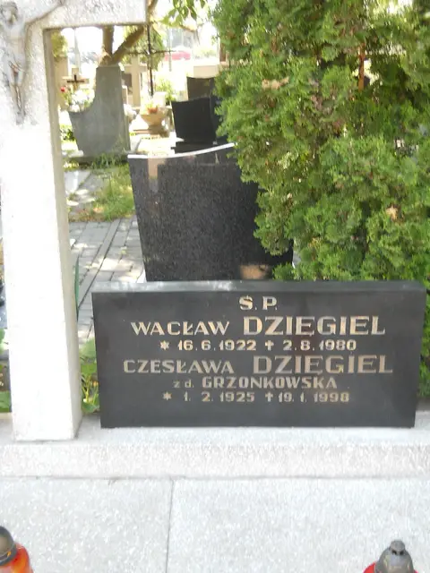 Zdjęcie grobu 7/11921