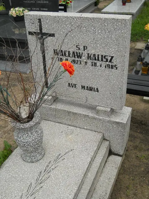 Zdjęcie grobu 26/23125