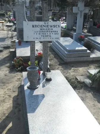 Zdjęcie grobu 3/100