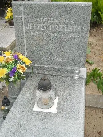Zdjęcie grobu 23/100