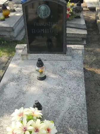 Zdjęcie grobu 14/100