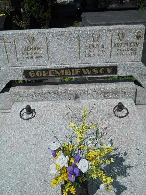Zdjęcie grobu 7/11820