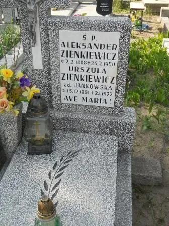 Zdjęcie grobu 20/100