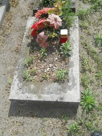 Zdjęcie grobu 21/830