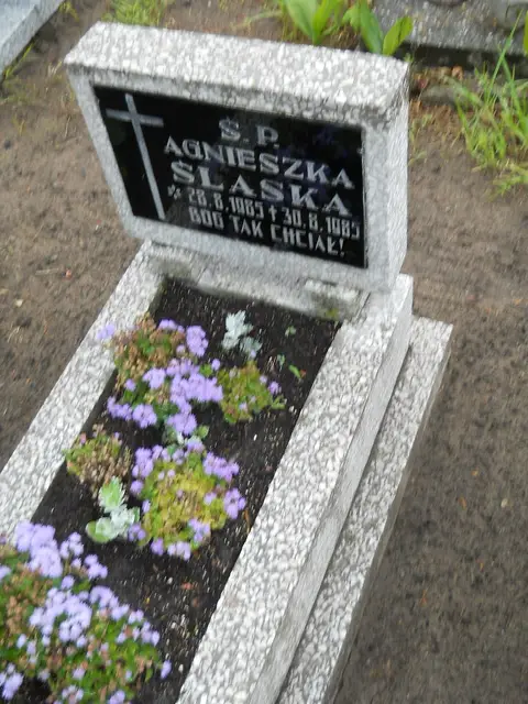 Zdjęcie grobu 21/23908
