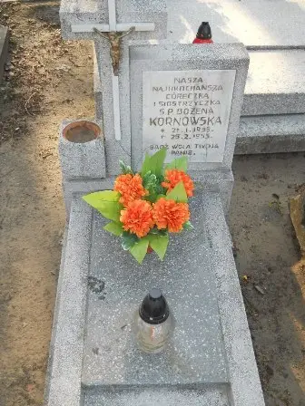 Zdjęcie grobu 9/100