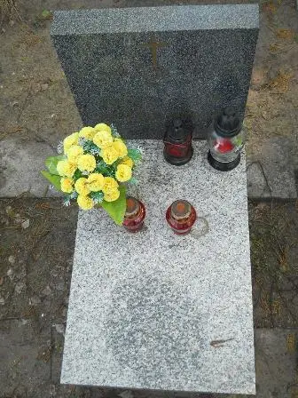 Zdjęcie grobu 7B/337