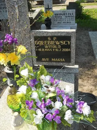 Zdjęcie grobu 14a/208