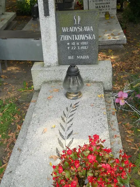 Zdjęcie grobu 15/26505