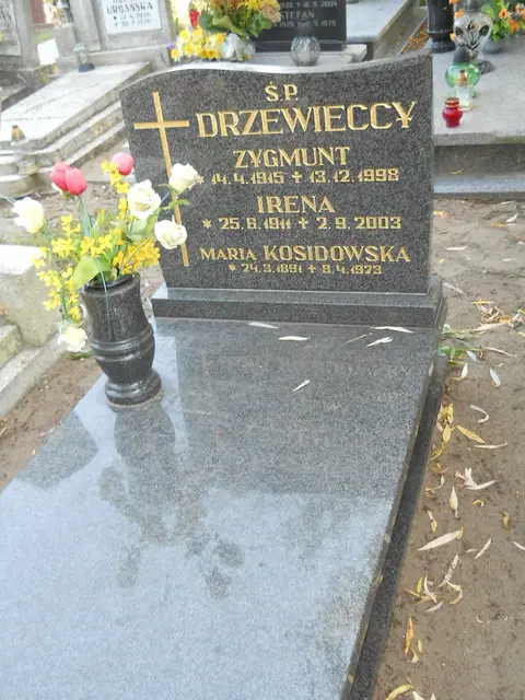 Zdjęcie grobu 14/27806