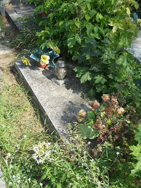 Zdjęcie grobu 18/28214