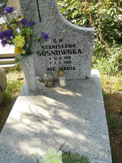 Zdjęcie grobu 17/28060