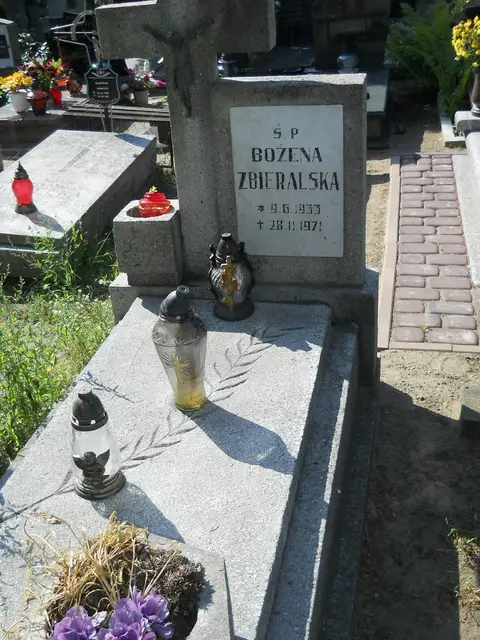 Zdjęcie grobu 17/28102