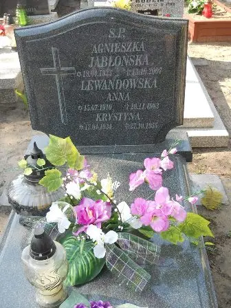 Zdjęcie grobu 14/100