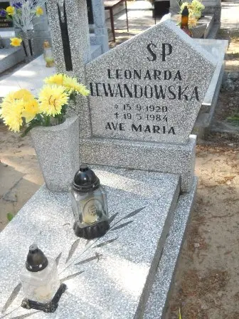 Zdjęcie grobu 35/190