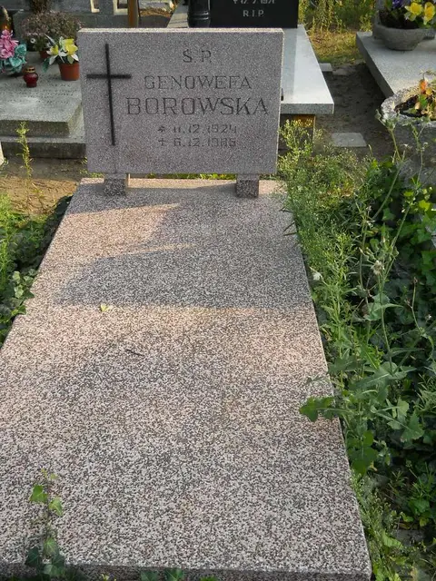 Zdjęcie grobu 23/28824