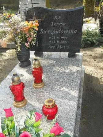 Zdjęcie grobu 27/100