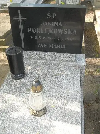 Zdjęcie grobu 24/100