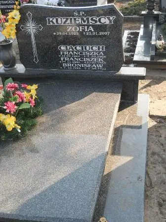 Zdjęcie grobu 2/295,296