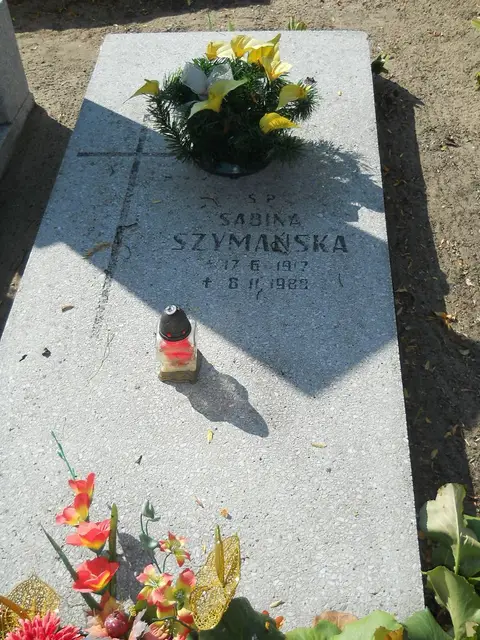 Zdjęcie grobu 14/27133