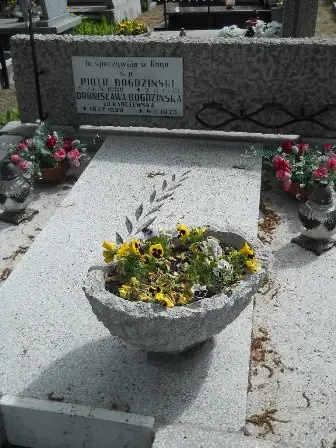 Zdjęcie grobu 38/100