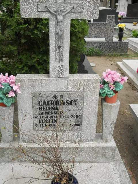Zdjęcie grobu 7/11050