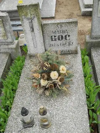 Zdjęcie grobu 36/315