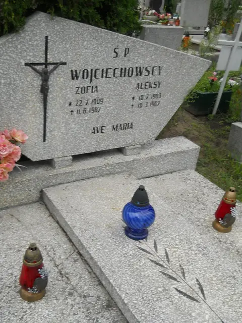 Zdjęcie grobu 21/23751