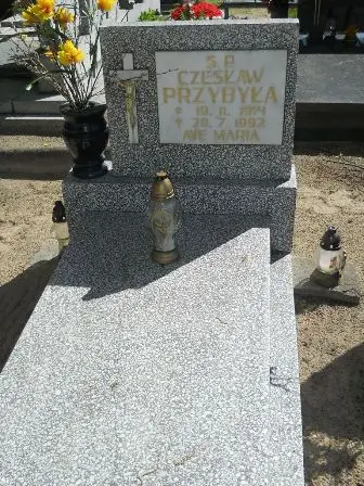Zdjęcie grobu 46/185b