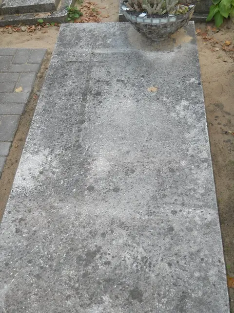 Zdjęcie grobu 14/26874