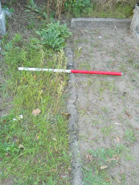 Zdjęcie grobu 14/27906
